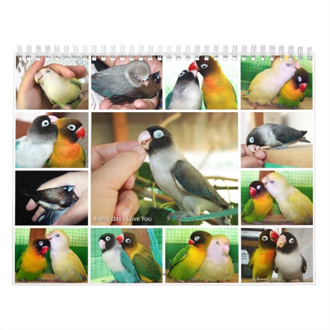 Dagligt älskar jag dig kalender (Omslag)