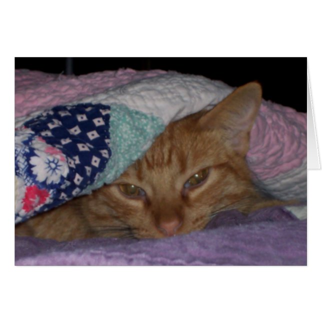 Dagligt kort "för komSnuggle" (Framsidan Horizontal)