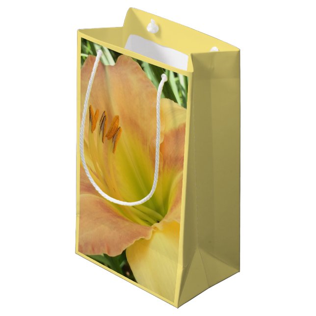 DAGLILIGEN "Blond Baby" - Gultens orange för grönt (Framsidan Vinklad)