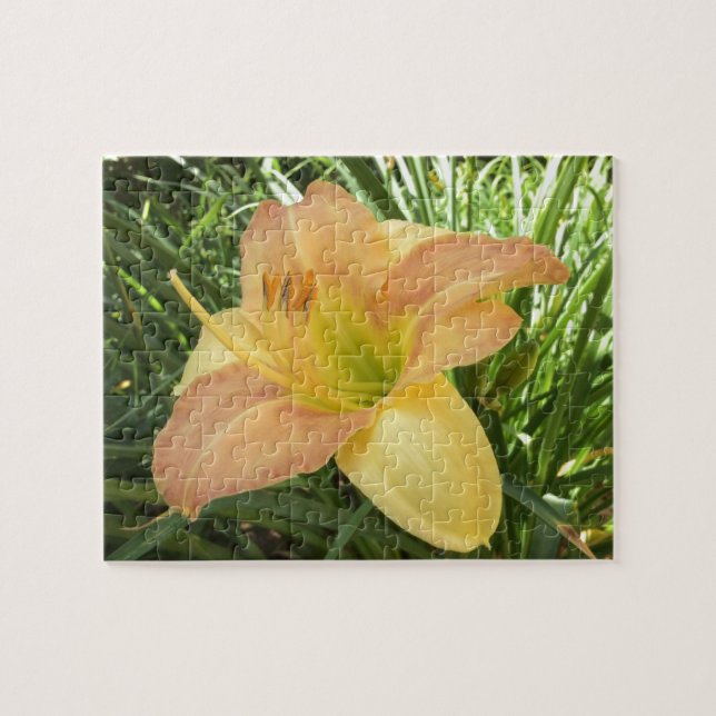 DAGLILIGEN "Blond Baby" - Gultens orange för grönt Pussel (Horisontell)