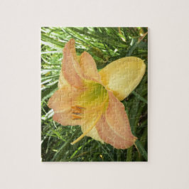 DAGLILIGEN "Blond Baby" - Gultens orange för grönt Pussel