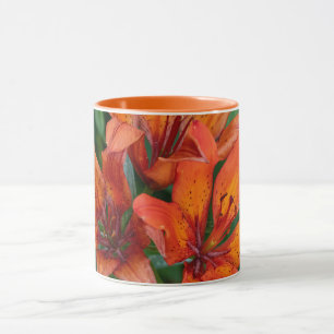 Daglilja botaniskt tryck, kanadensisk fotograferin mugg