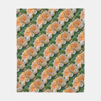 Daglilja 'Spacecoast Peach Fringe' filt filt