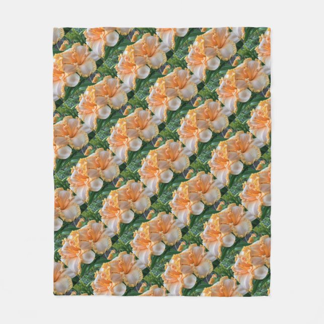 Daglilja 'Spacecoast Peach Fringe' filt filt (Framsidan)