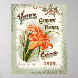 Dagliljan kärnar ur paketvintagetrycket poster