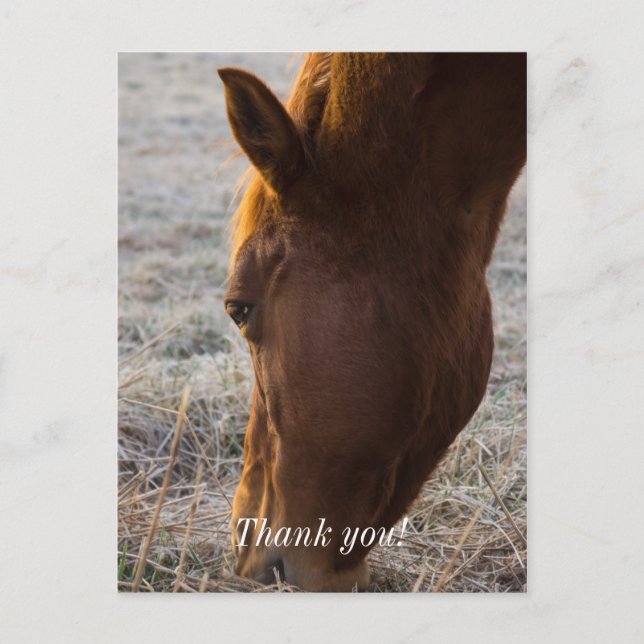 Dags att äta tackkort vykort (Framsida)