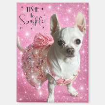 Dags att blänka söt chihuahua i klänning