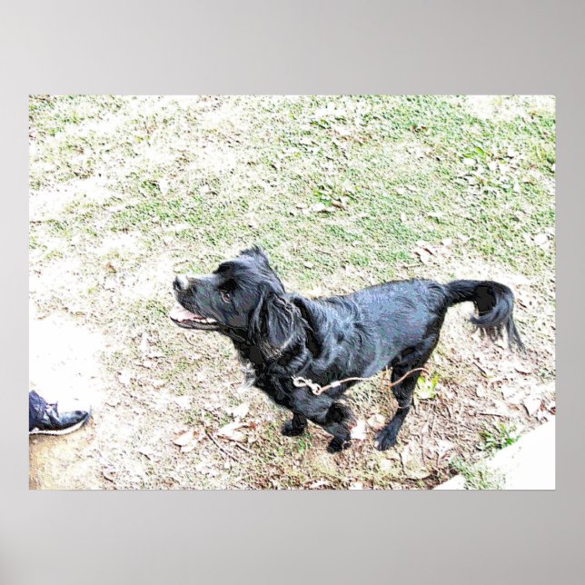 Dags att gå med hunden poster (Framsidan)