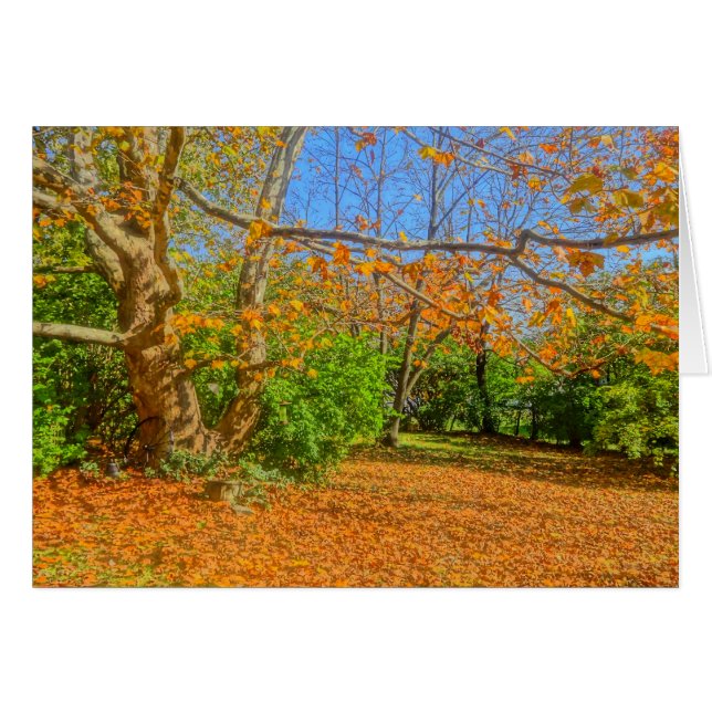 Dags att göra om! hälsningskort (Framsidan Horizontal)