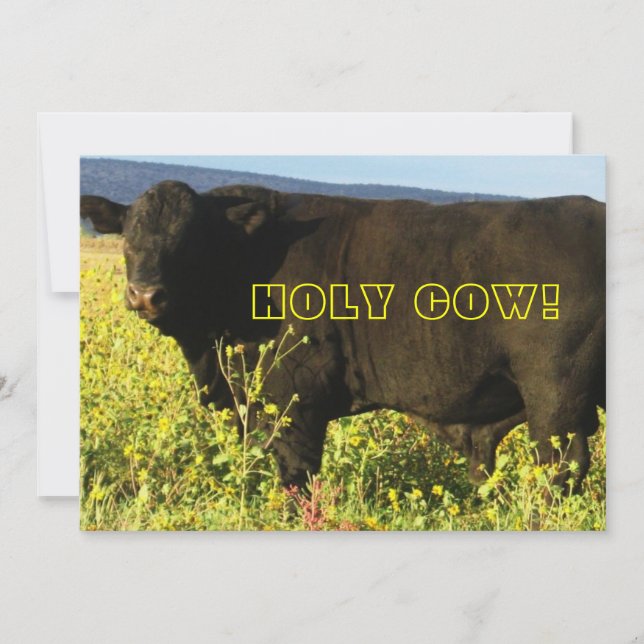 Dags att Rensa!  Heliga Ko - Westernfestival Inbjudningar (Framsida)