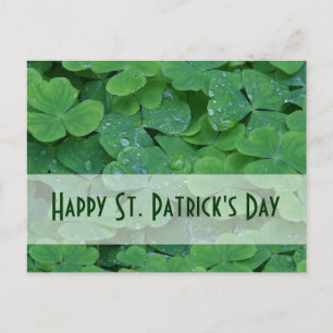Dagsamling för St. Patricks Helg Vykort