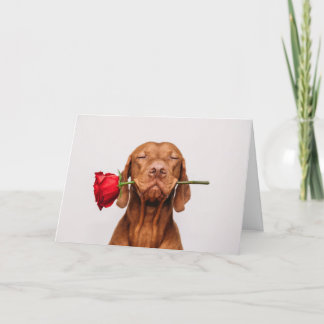 Dagskort för Cute Hund Valentine Helgkort
