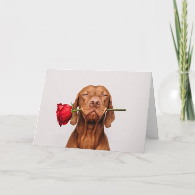 Dagskort för Cute Hund Valentine Helgkort (Framsida)