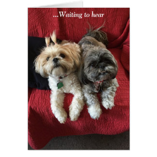 Dagskort/Grace & Glory OBS Kort