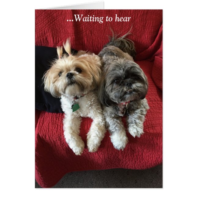 Dagskort/Grace & Glory OBS Kort (Framsidan)