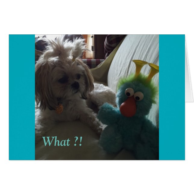 Dagskort/Grace & Glory OBS Kort (Framsidan Horizontal)