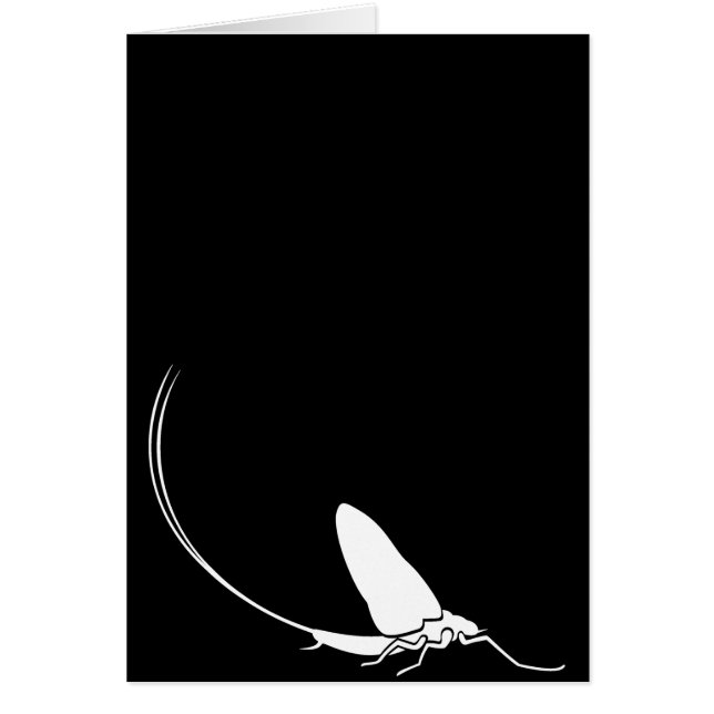 Dagslända Hälsningskort (Framsidan)