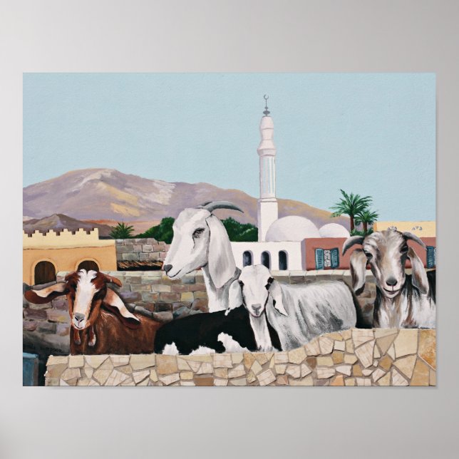 Dahab Goats Poster (Framsidan)