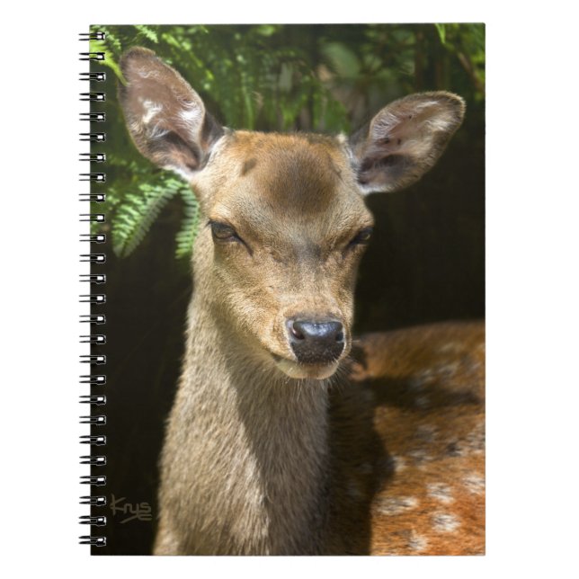 Dåhjortsanteckningsbok Anteckningsbok (Framsidan)