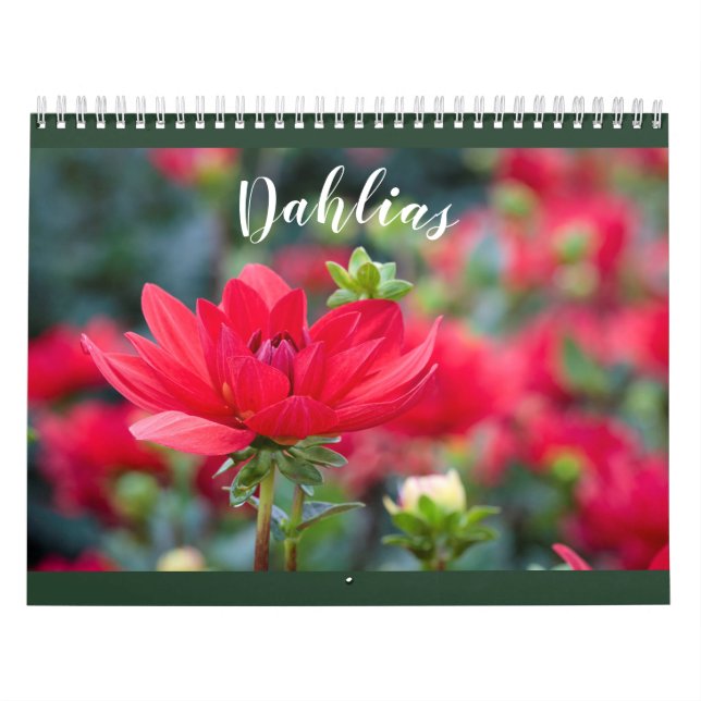 Dahlia 2021 kalender (Omslag)