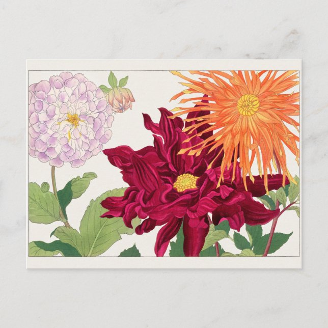 Dahlia av Tanigami Konan Vykort (Framsida)