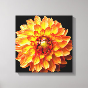 Dahlia-blomduk. Canvastryck
