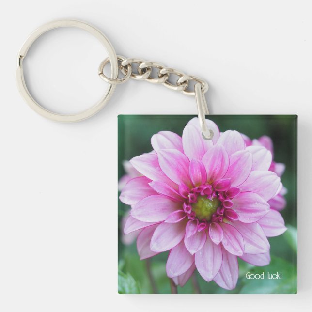 Dahlia-blomma (Framsidan)