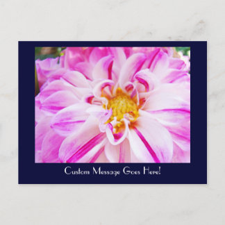 Dahlia Blomma anpassade vykort Rosa Dahlia