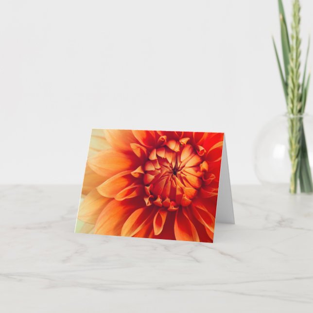 Dahlia Blomma (Dold) Kort (Framsida)