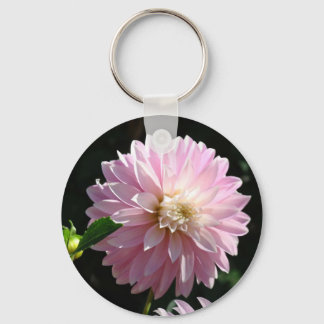 Dahlia Blomma nyckelringar Blommig natur