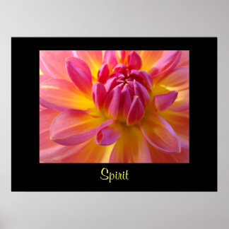Dahlia Blomma Rosa Gul konsttryck Kontor Blommig Poster