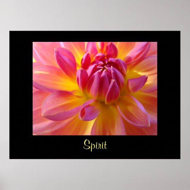 Dahlia Blomma Rosa Gul konsttryck Kontor Blommig Poster (Framsidan)