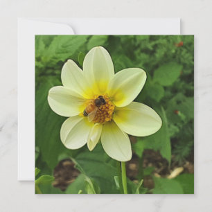 Dahlia-blomman och biet kort