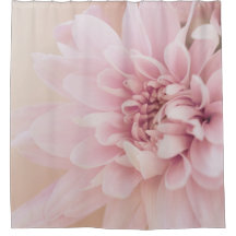 Dahlia-blommans rosa och blommigt