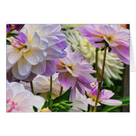 Dahlia-blommans sommarträdgård hälsningskort