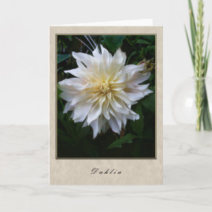 Dahlia - Blommigt Series Kort