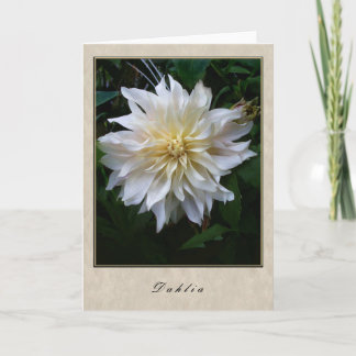 Dahlia - Blommigt Series Kort
