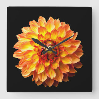 Dahlia-blommigten Fyrkantig Klocka