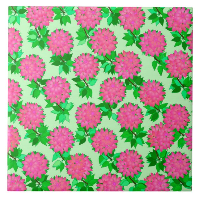 Dahlia-blommor i fuchsisk rosa kakelplatta (Framsidan)