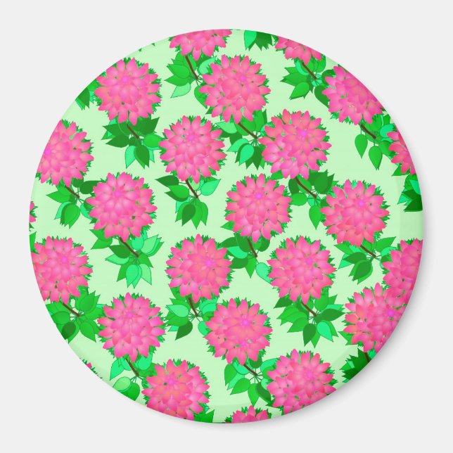Dahlia-blommor i fuchsisk rosa magnet (Framsidan)