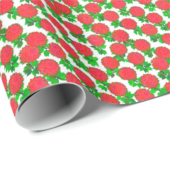 Dahlia-blommor i rött djup presentpapper (Rullad Hörn)