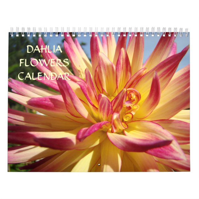 Dahlia Blommor Kalender Kontorskalender Högtider (Omslag)