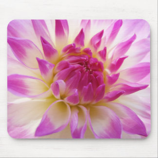 Dahlia blommor musmattor Färgrik Rosa Vit Blommig