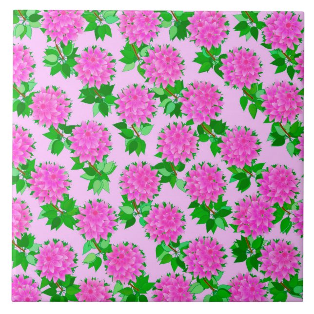 Dahlia-blommor på djupt rosa kakelplatta (Framsidan)