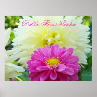 Dahlia Blomsterträdgård art skriver ut presenter R Poster