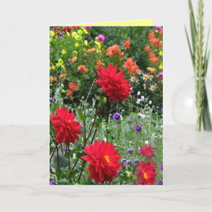 Dahlia Blomsterträdgård Birthday Kort