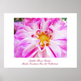 Dahlia Blomsterträdgård Fina Konsttryck Samlingar Poster
