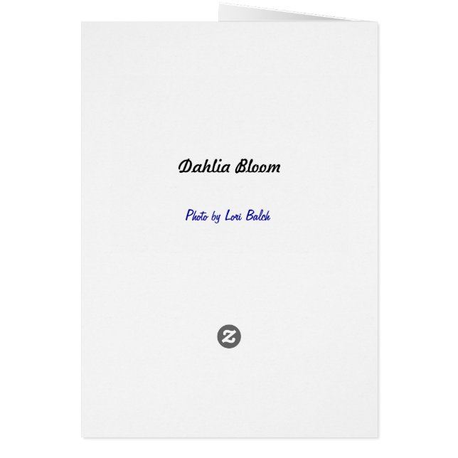 Dahlia Bloom OBS Kort (Baksidan)