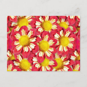 Dahlia bouquet - korall och vit med gult vykort