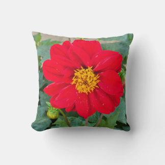 Dahlia Bright Red Kudde